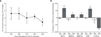 Rhinovirus increases Moraxella catarrhalis adhesion to the respiratory epithelium